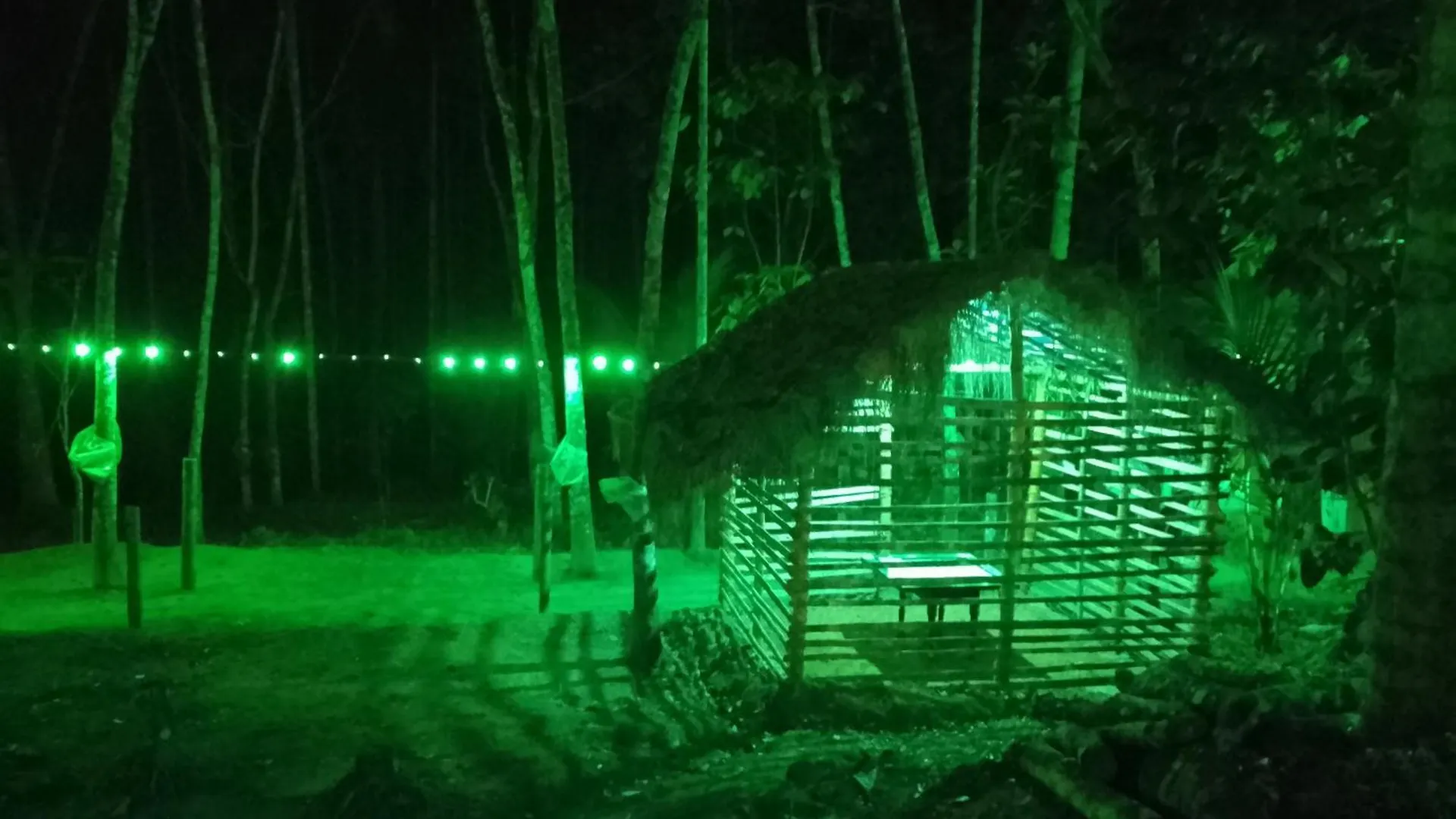Green Nest Home Stay Meenangadi 0*,  India