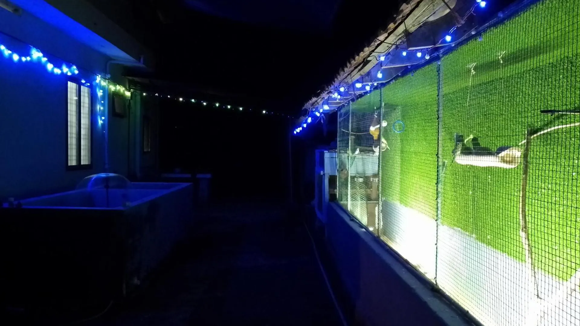 Homestay Green Nest Home Stay Meenangadi India
